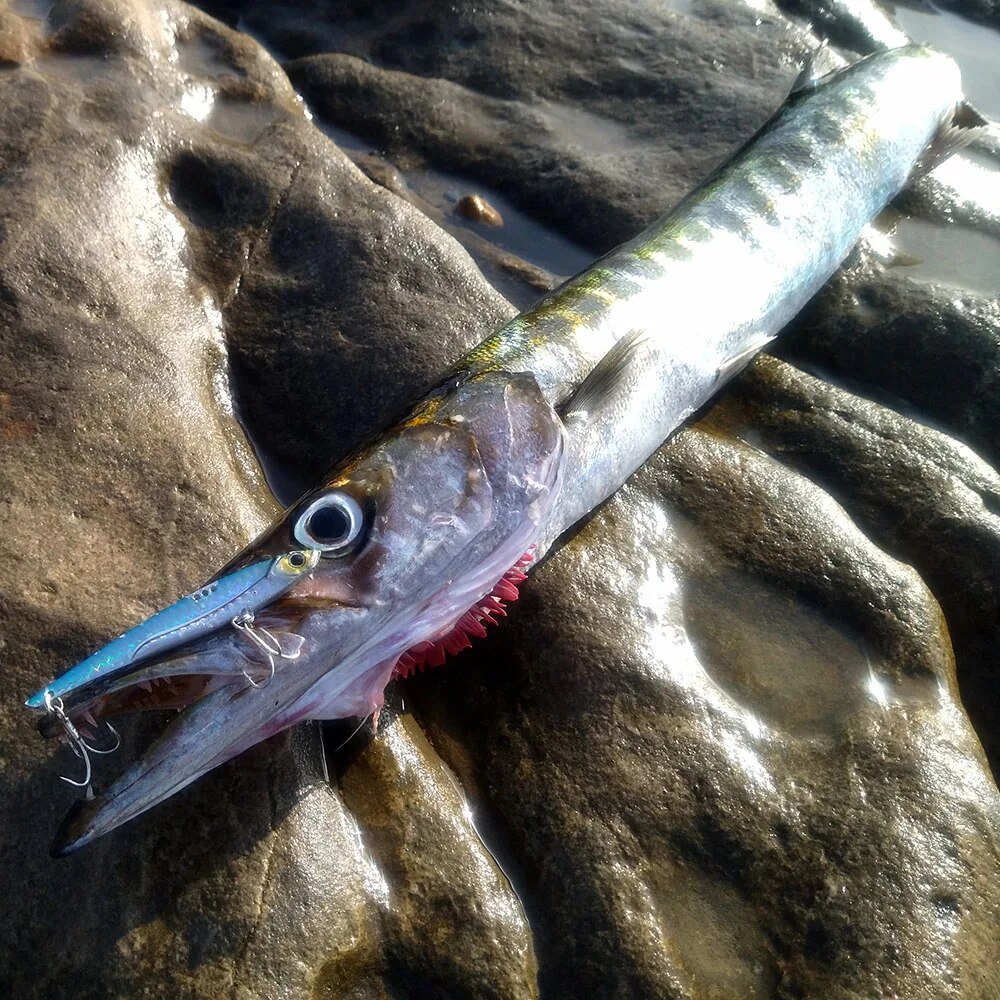 GOBAIT VIB leurre de pêche 20g - Fishing Hook Treble avis et prix