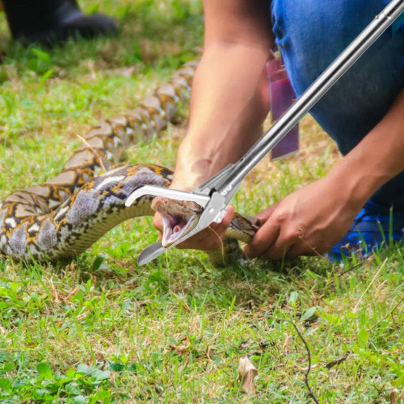 Outil de capture de reptiles à - Fishing Hook Stainless Steel avis et prix